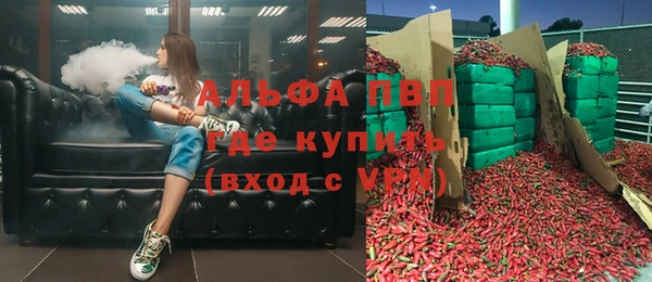 ГАЛЛЮЦИНОГЕННЫЕ ГРИБЫ Балабаново